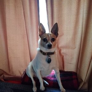 Meet your Posher, Kim